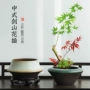 大肚陶瓷窑变水培插花