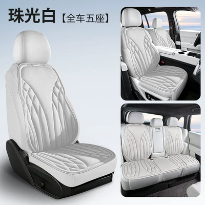 Seat cushion, seat cover — Cushions in Stock, Suitable for All Seasons - the-whole-car-has-five-seats-pearlescent-white