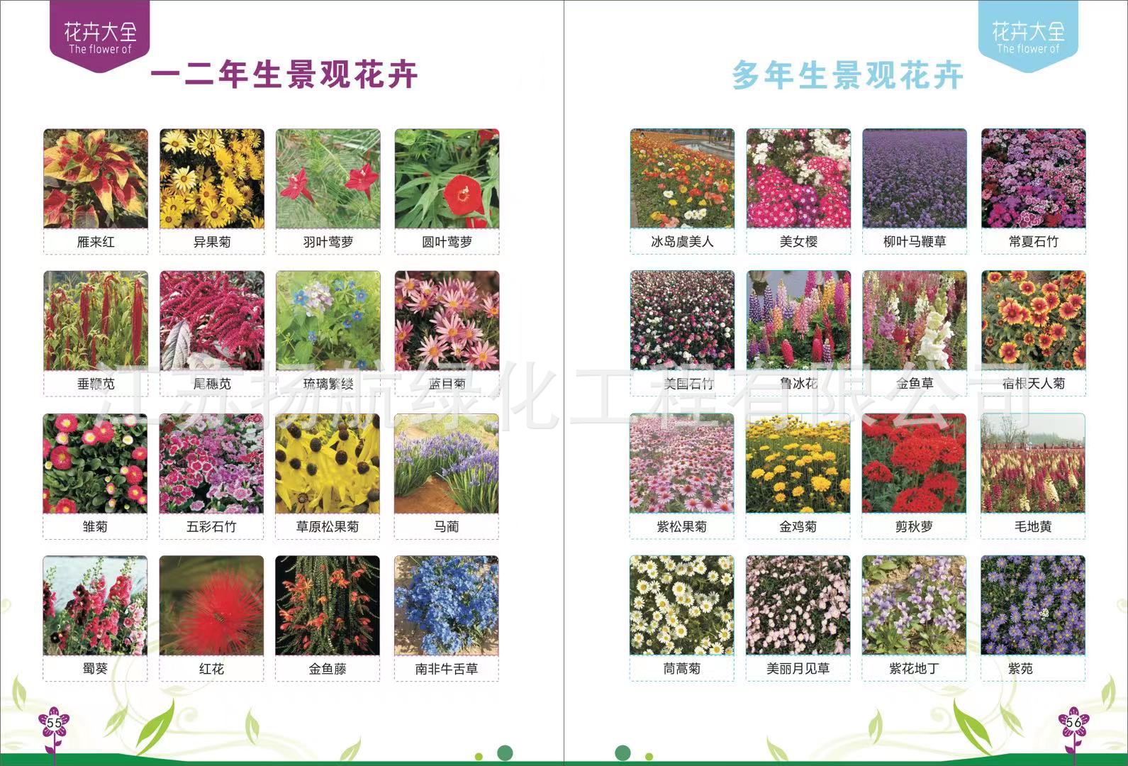 ΢��ͼƬ_20211022102539