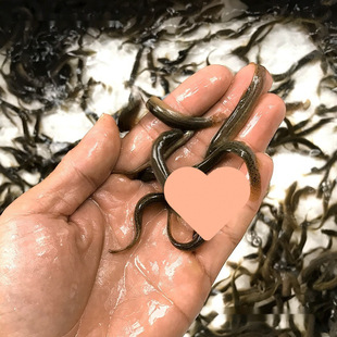 ̨�����q��С���q�r����~���~�������С�~��ˮ����~���q