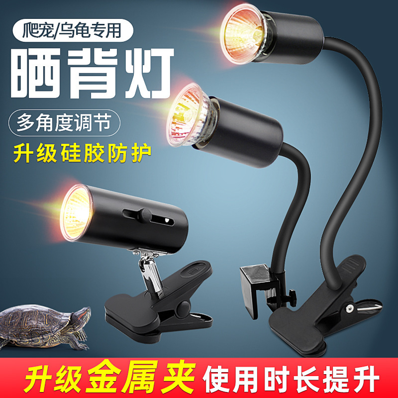 Turtle Basking Lamp Reptile Lighting Uvb Heating Bulb Heat Lamp Sun Lamp Constant Temperature Lamp Stand Turtle Basking Lamp Reptile Lighting Uvb Heating Bulb Heat Lamp Sun Lamp Constant Temperature Lamp Stand