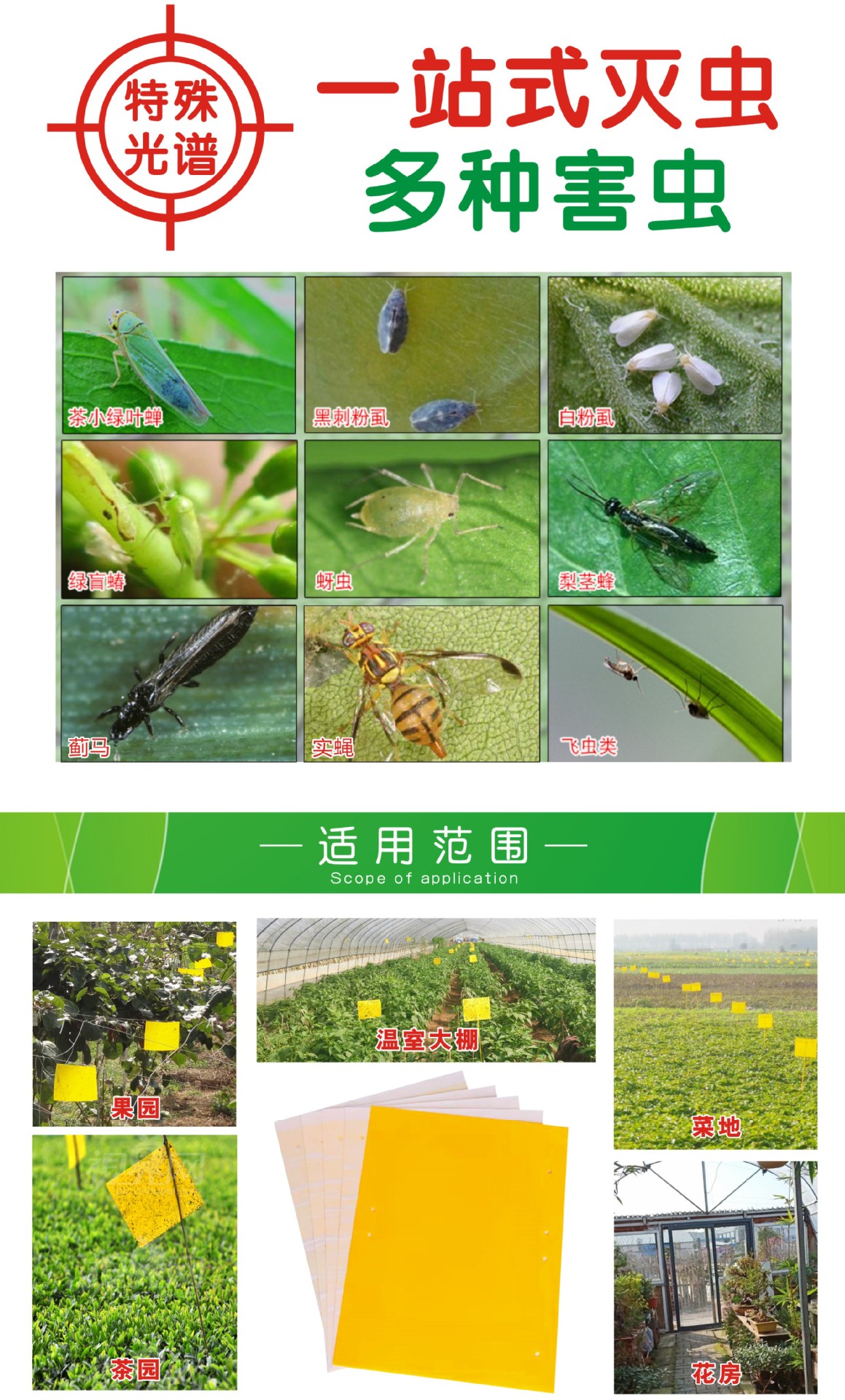 详情页-4