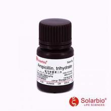 A7490 ������ù����ˮ Ampicillin 7177-48-2 ������