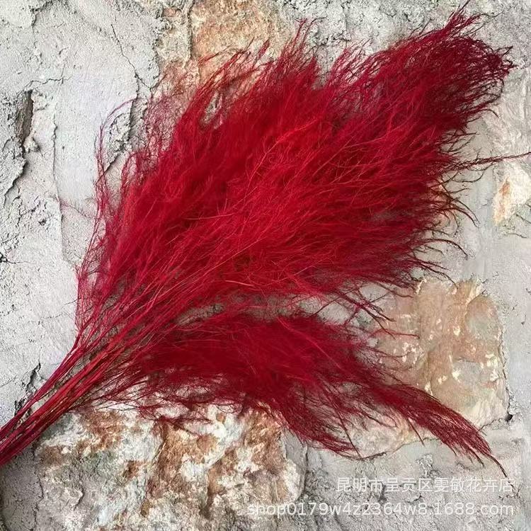 [Eternal Flower] Preservation Flower Eternal Flower Eternal Flower DIY Flower Material Wedding Home Decoration Fresh and Elegant Style