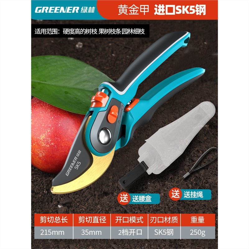 Tijeras florales Artesanía alemana Ramas de frutas Tijeras de ramas Cuchillos Tijeras de poda Bosque verde Jardinería Poda importada Envío gratis