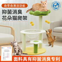 ؈һwC־ȩ̫œ؈CռС؈؈