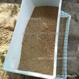 供应中兴畜牧鸡鸭鹅料箱种鸭用料盒鸭料箱图片鸭料箱厂家