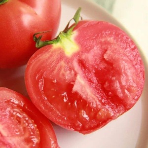 普罗旺斯生吃水果西红柿新鲜沙瓤自然熟普罗旺斯西红柿一件代发