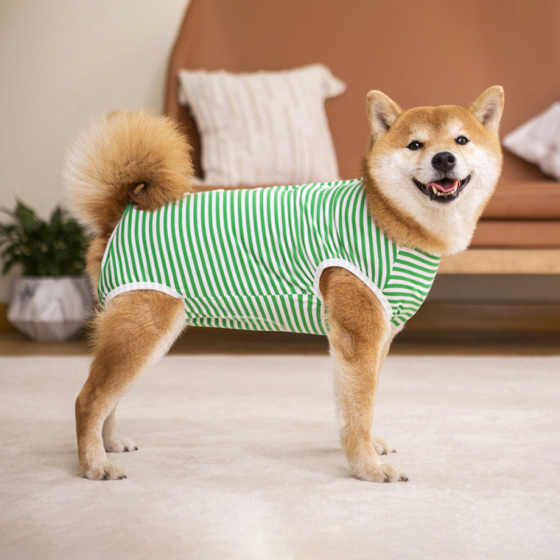 犬の離乳、滅菌、トラウマ手術服、国境を越えたラブラドール、中型犬と大型犬の純綿ペット服|undefined