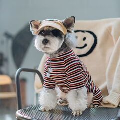 犬の四本足の夏の新しいストライプのボトムシャツ薄くて通気性のあるヨークシャーウエストハイランドシュナウザー犬服