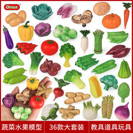仿真实心迷你蔬菜水果教具模型摆件玉米菠菜洋葱香菇南瓜辣椒玩具