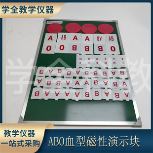 3233 ABO blood group magnetic demonstration block factory direct intuitive and easy to understand oscillographic blood group demonstration board teaching model