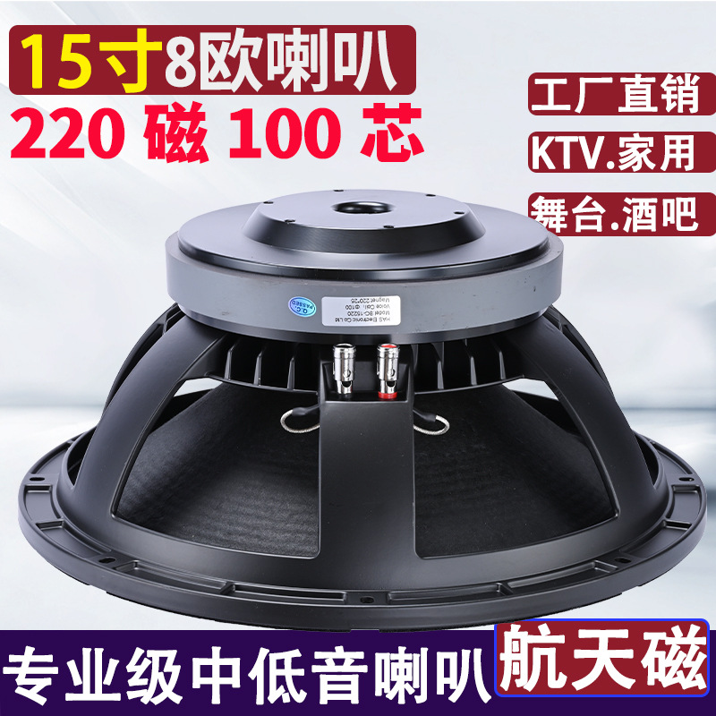 Altavoz profesional de BC-15 pulgadas (220 núcleos magnéticos de 100 núcleos)