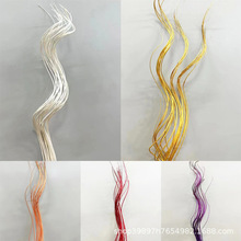 【干花龙柳】木枝木棍干树枝园艺花材龙柳干枝橱窗装饰基地直发