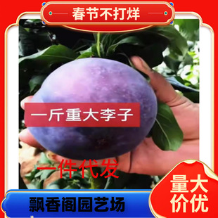 һ�����l�������Ә���Ó�������ϱ���ͥԺ���Ԙ����Լ޽Ӽ޽���