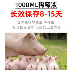 Long-acting pig diluent, breeding sow nutrition liquid, boar semen preservative, artificial insemination consumables for breeding sows, boar semen