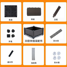 30��N���������ͥ�̨�L�����������߲ˌ��÷Nֲ�仨���픻���