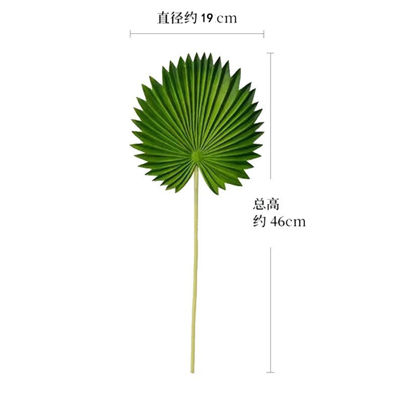 크고 뾰족한 야자잎