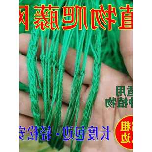 ֲ�����پW�Ϲ�������W���ш@�W�Nֲ�W����W���ϾW���ǾW���ϾW