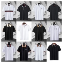 ��������ȷ�桷2025�¿��ļ�ŷ��վ��ʿ��������޶���POLO��ʱ��