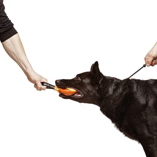 Nylon dog training leash, non-slip collar type, heavy-duty anti-pull leash, suitable for medium and large dogs