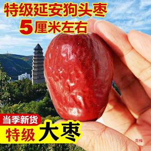 2023�����^������a��5��ꄱ��Ӱ��Ӵ������r��t��