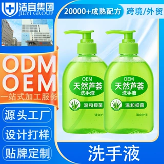 代加工芦荟泡沫抑菌香氛洗手液定制500毫升抗菌除菌家用补充液OEM