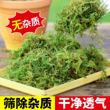 ��̦�\��̦ˮ̦�����m������ëë�x�m���������������|�����l