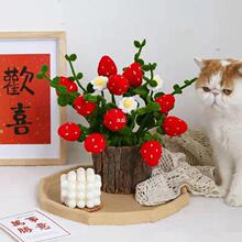 针织花网红可爱橘子毛线草莓花束创意制品女友长辈礼物