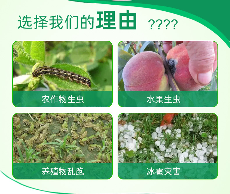 大棚防虫网详情页_03