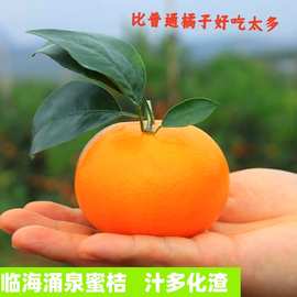 正宗临海涌泉蜜桔无核薄皮桔子当季新鲜蜜橘水果现摘现发