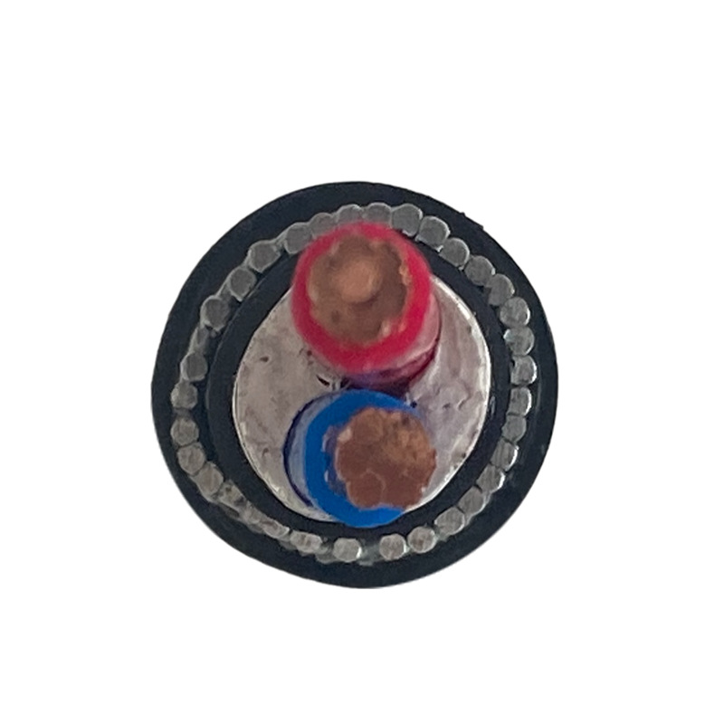 ZR-YJV32-2×10白底(2).p