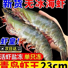 虾速冻0冷冻青岛海虾基围虾海鲜水产大青虾大虾鲜活盐冻包邮包装