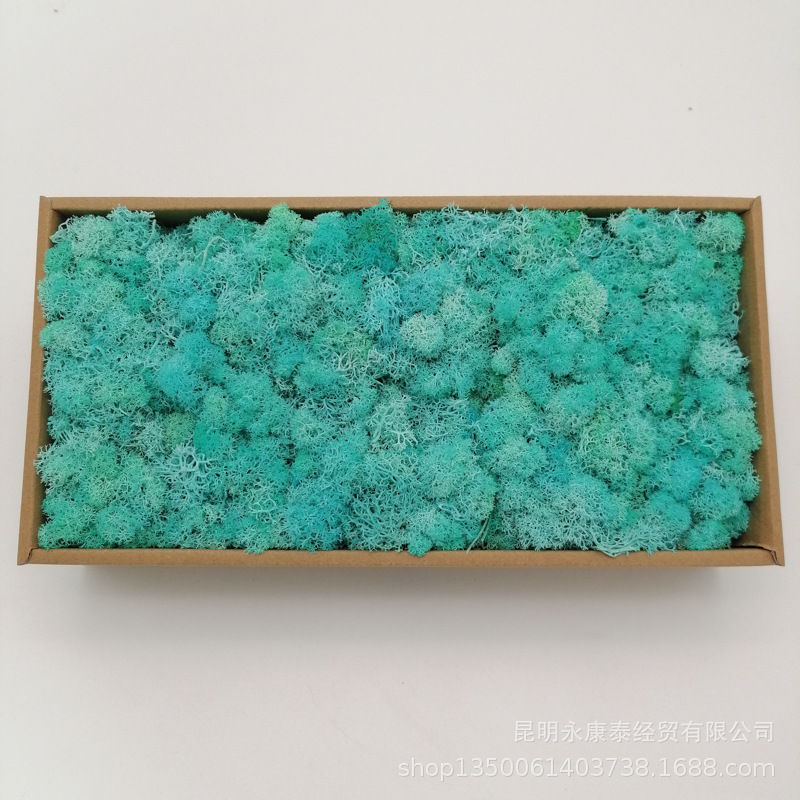 Musgo al por mayor de musgo peso neto 200g caja de regalo flores de musgo eternas accesorios para el hogar tiro ventas directas de la fábrica