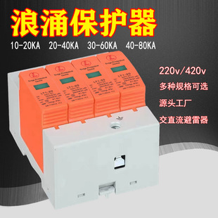 Surge Protector 2P Lightning Protection Device Surge Lightning Protection Device 4P40Ka Photovoltaic Power Supply Lightning Protection Anti-Leakage High Voltage