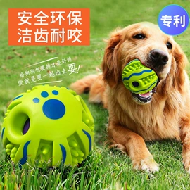 戏水玩具;狗狗玩具;搪胶公仔