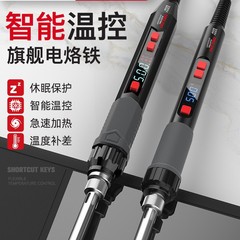 德力西电气电烙铁家用小型维修焊接神器焊锡枪专业级电焊笔电洛铁