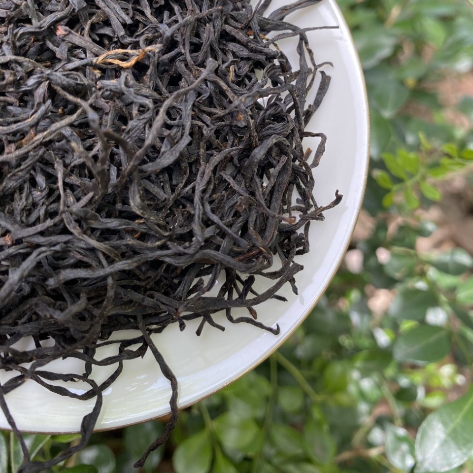 福建兰花香梅占小种红茶正高山荔枝香花香散装妃子笑茶叶批发武夷