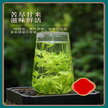 毛冬青茶云南产嫩芽茶叶青山绿水毛冬青茶大货批发