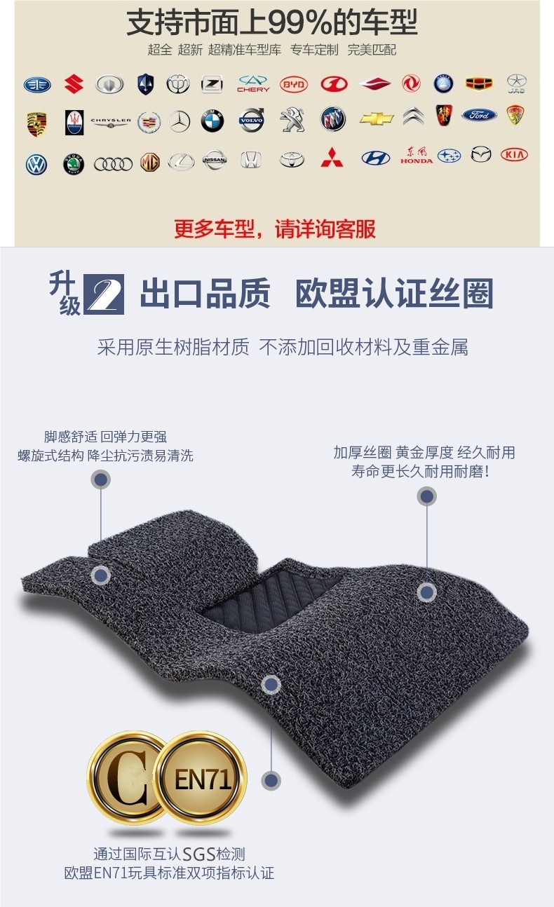 Car Wire Ring Floor Mats Single Piece Main Driver's Seat Single Passenger Rear Carpet Type Universal Car Mat Special Floor Mats