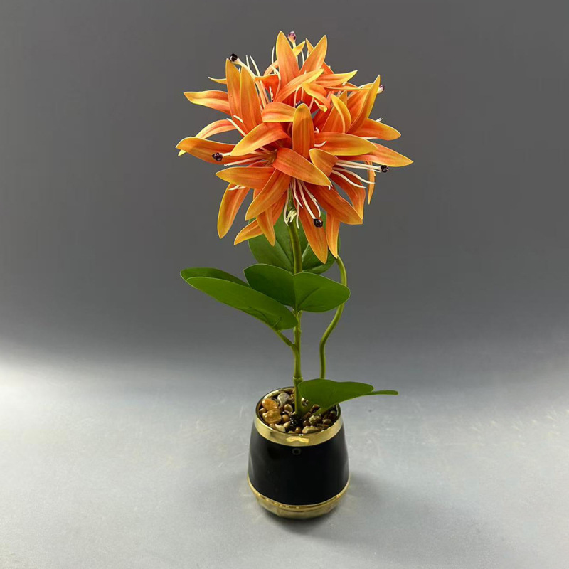 新款植物小盆栽 客厅玄关氛围感装饰仿真植物摆件家居装饰仿真花|undefined