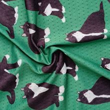 �����Wӡ�����ϴ����ٸ��\�ӷ��W�۲�Ů�b�B��ȹ�r�������������l