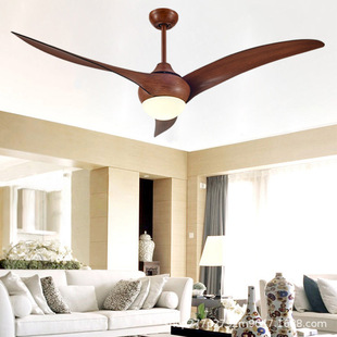 Cross-border Nordic ceiling fan lamp dining room living room bedroom home 110V variable frequency DC fan lamp a generation of hair