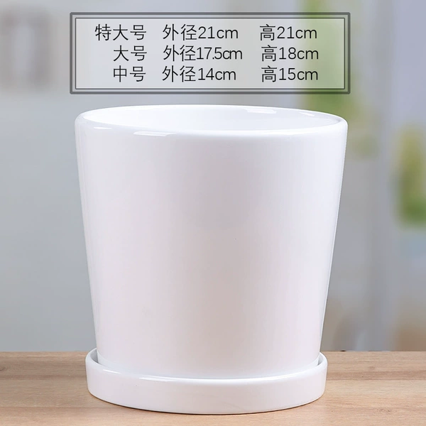 [70025白]