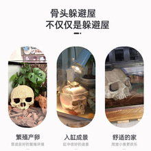 ���x���쾰�b��ת{������֩��ϐ�Ӷ�Ѩ�~��ˮ���b��쾰���t�^��