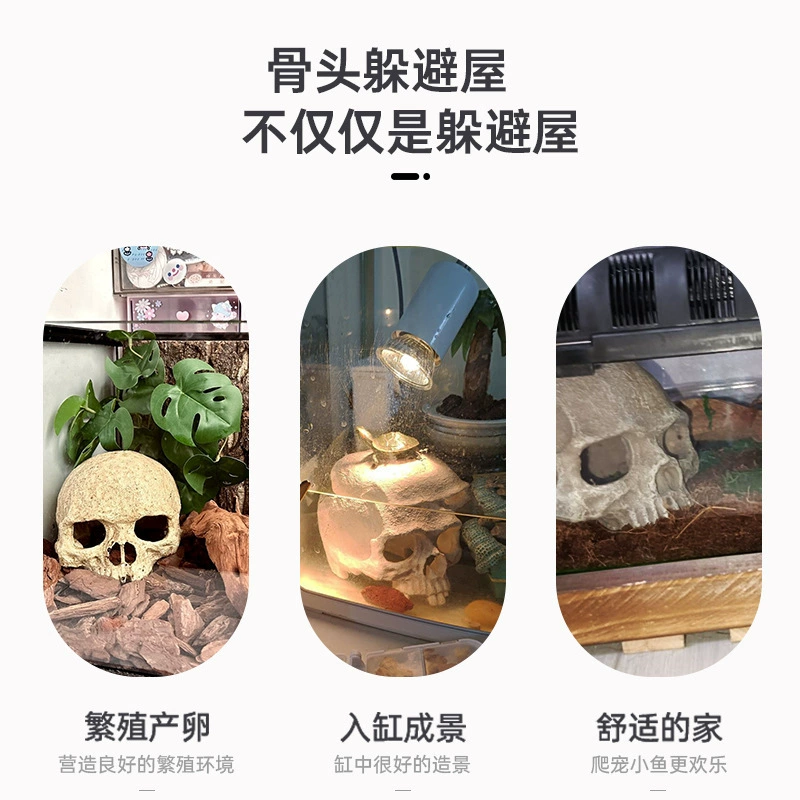 Коробка рептилии для ландшафта декоративная грива-ящерица змея паук-скорпион пещера аквариум декоративный череп