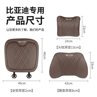 Headrest — Pro, Song Max, Qin Plus/E3E2E9 Lumbar