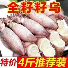 海兔满籽大小墨鱼仔海鲜水产鲜活冷冻笔管鱼全籽乌贼八爪鱼海兔子