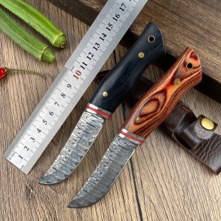 Solid Wood Handle Meat Cutting Knife Outdoor Barbecue Portable Knife Household Stainless Steel Sharp Knife with Leather Case