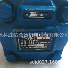 ע�ܻ��ͱ�YB-E40/25 YB-E40/12��Һ˫��ҶƬ��YB-E125/32/63/160